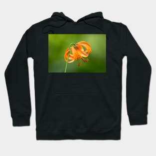 Tiger Lily Hoodie